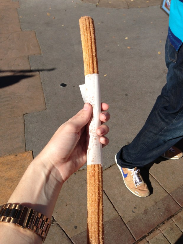 I LOVE the Disneyland Churro. I think a post devoted to Disneyland food is probably in order...