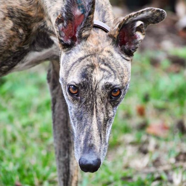 Another of my favorite photos.